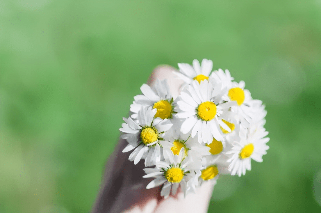 【健康讲座】四月，健康致自己